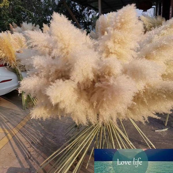 100 pçs / lote Flor cabeça Natural Reed Flor Secada Grande Pampas Buquê Buquê de Casamento Cerimônia De Casamento Decoração Moderna Home Decoração