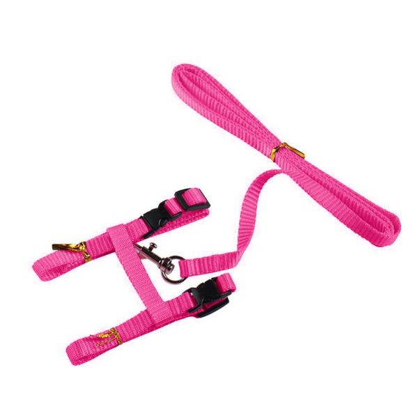 

cat collars & leads home puppy dog outdoor walking pet accessories durable handheld camping travel traction belt