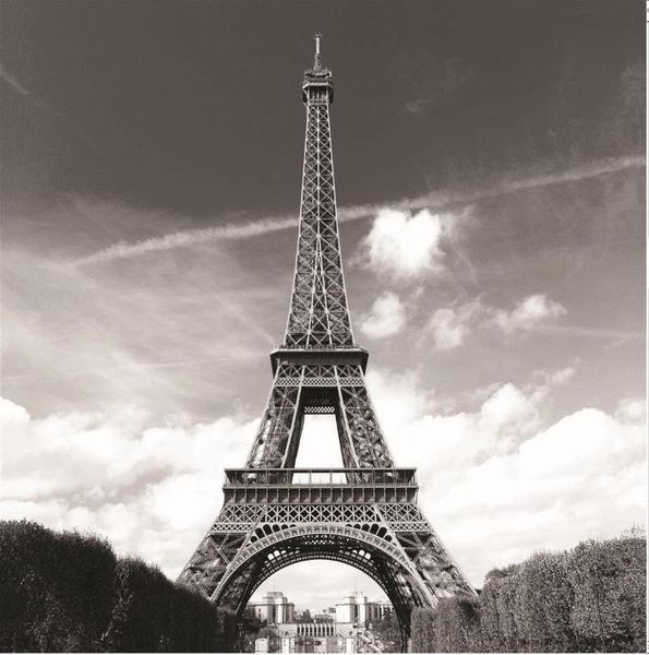 

shower curtains paris eiffel tower la tour polyester fabric curtain