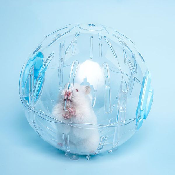 

small animal supplies 15cmplasticoutdoor sport ball rat toys pet for hamster gerbil ratexercise balls play rodent mice jogging toy