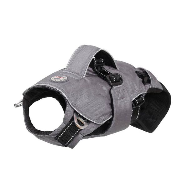 

backpack 3 in 1 multi functional pet carrier front facing legs out dog