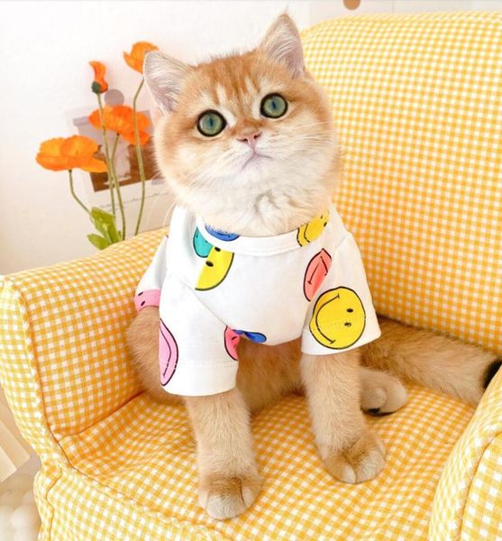 

pet clothes cat costumes