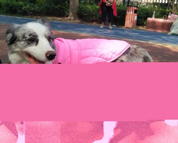 

dog clothes autumn and winter pet waterproof clothing double-sided can wear thick coat vest cat costumes