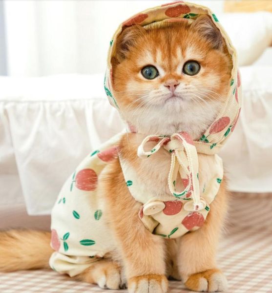 

cat costumes pet clothes vest striped design 100% cotton puppy skirt