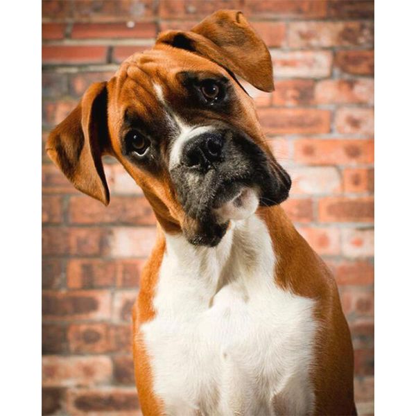 

diamond painting 5d diy animal dog full square/round mosaic embroidery sale picture of rhinestones home decoration ty918