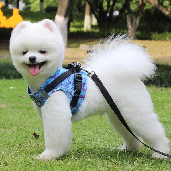 

dog collars & leashes pet chest strap set premium leash breathable