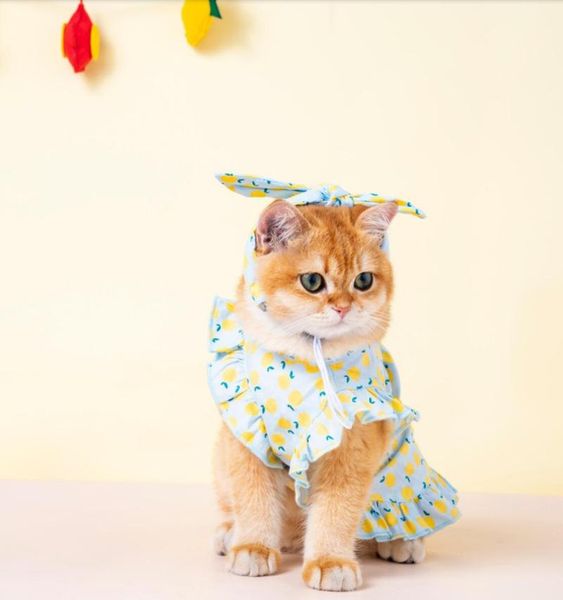 

cat costumes princess dress for small medium dogs chihuahua skirt