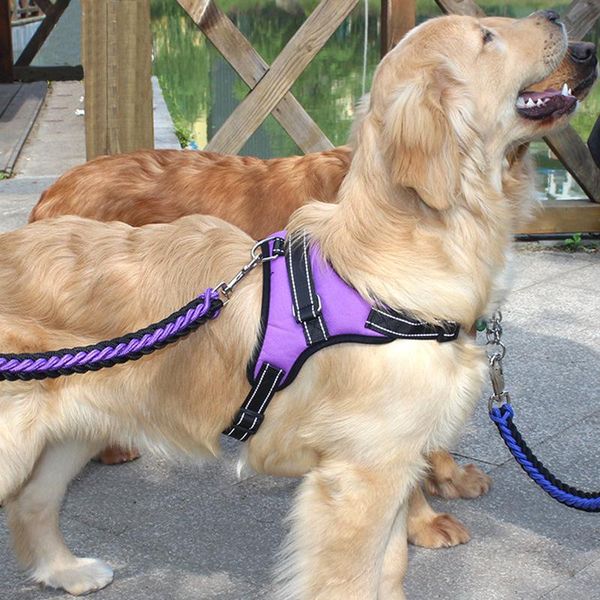 

medium and large nylon no pull dog harness vest for dogs leash pet supplies collar accessories collars & leashes