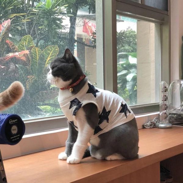 

dog apparel cute pet summer breathable vest stars printed sleeveless t-shirt for dogs cats small clothes puppy clothing costume xs-xl #