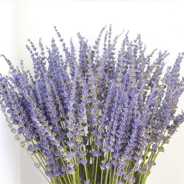

100g/pack natura avender fower bundes dried avender fowers bunch wedding fowers bouquet for home decor