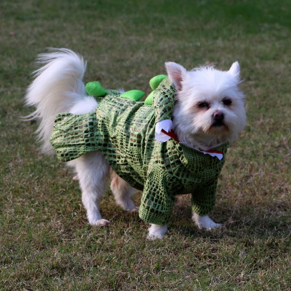 Lustiges Haustier, Katze, Hund, Weihnachten, Krokodil, Cosplay, Welpenkleidung, Schnauzer, Teddy, Bichon, Haustiere, Hunde, Jacken