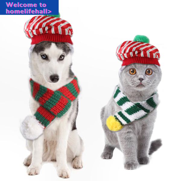 

supplies clothes hooded clothing knitted christmas scarf set creative teddy plaid hat cat products