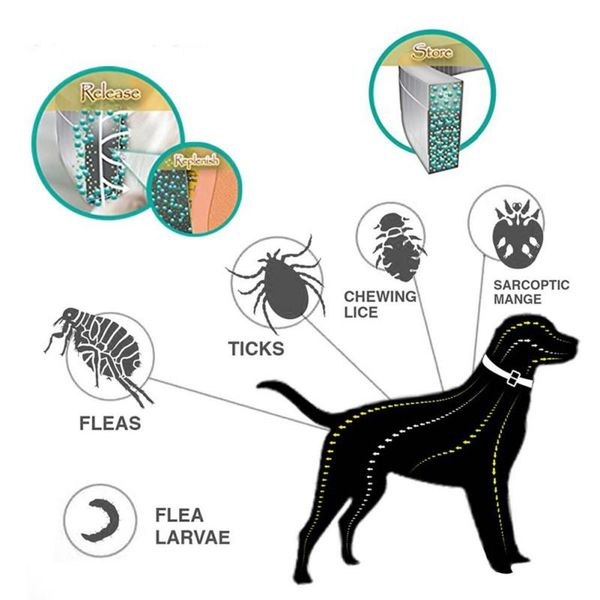 

dog collars & leashes pet natural essential oils scent mites mosquito repellent collar for neck flea tick treatment prevention pest control