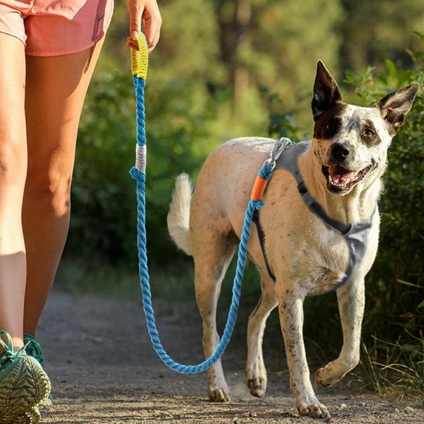 

dog leash rope for small medium dogs puppy leashes 160cm long heavy duty large size pet lead collars &