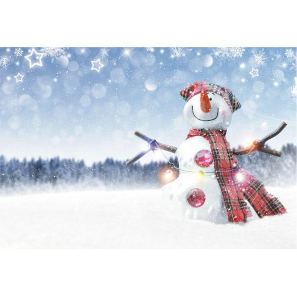 

party decoration winter forest pography backdrop snowy snowman background bokeh natural snowflake xmas po booth