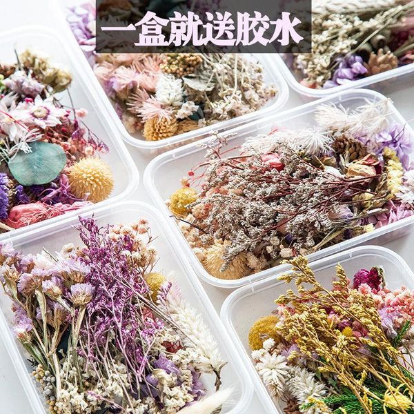 

decorative flowers & wreaths wedding diy party decoration dried hand account flower material bag home natural