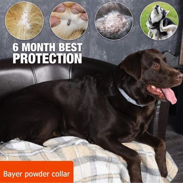 

dog collars & leashes preventing flea ring grey rubber repellent collar pet supplies cat parasite durable insect teddy