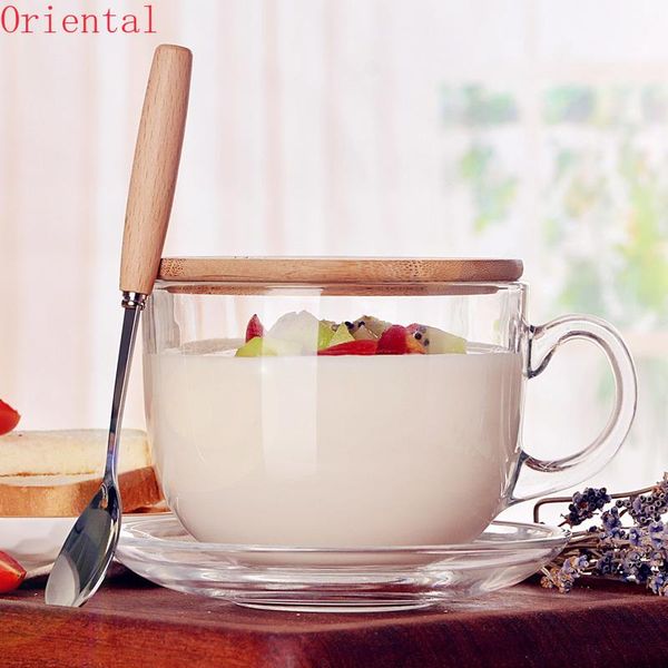 

mugs 480ml heat resistant double wall glass coffee cup milk mug transparent round kungfu tea with bamboo cover and spoon