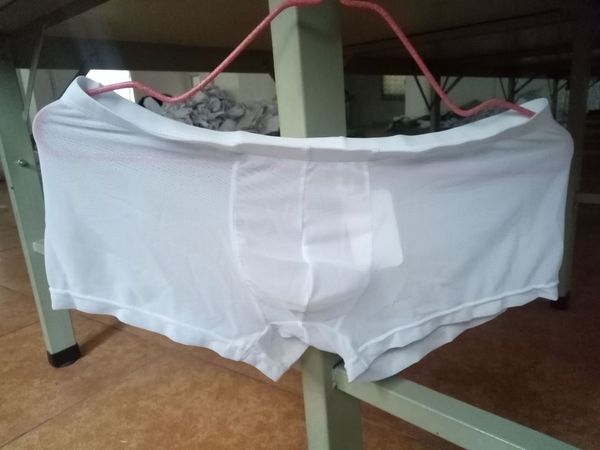 

men's transparent underwear mesh breathable men's boxer, Black;white