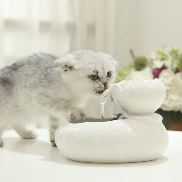 

cat water fountain electric dog pet drinker bowl drinking dispenser gato feeding supplies bowls & feeders