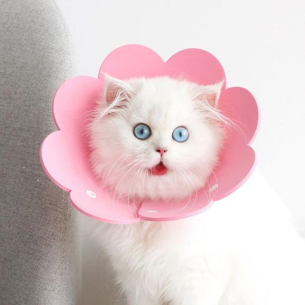 

cat collars & leads pet recovery cute sunflower puppy collar soft sponge lightweight kitten headgear recover use