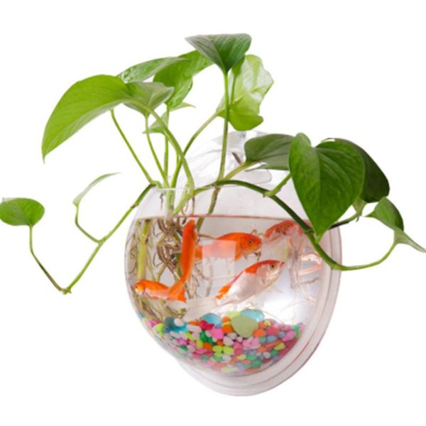 

aquariums aquarium wall mount 3d acrylic fish bowl for aquatic pet betta goldfish plant transparent hanging tank home decoration
