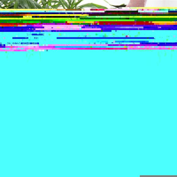 

watering equipments small pictogram can home garden flower plant pot tool succulent