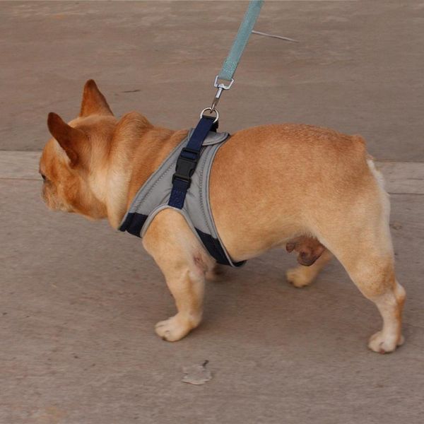 

dog collars & leashes lightweight velvet harness for small medium dogs reflective walking chest strap