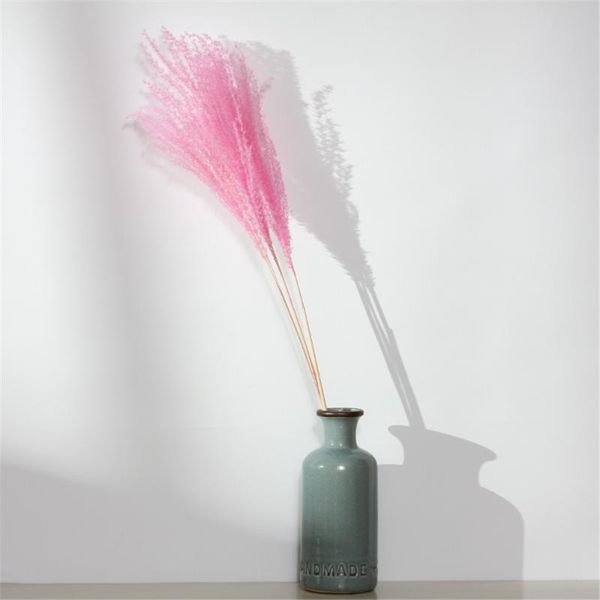 

decorative flowers & wreaths 10pcs dried pure natural small pampas grass bouquets reed pink