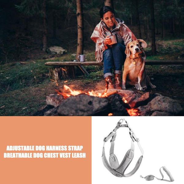 

dog collars & leashes sturdy leash adjustable pet harness strap breathable comfortable chest vest back