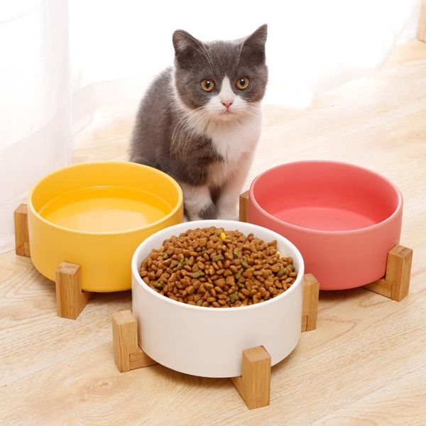 

ceramic pet bowl cat puppy double bowls feeding supplies for dog water feeder accessories durable multiple color option & feeders