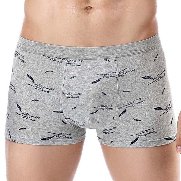 Männer Bademode Marke Herren Unterwäsche Boxer Baumwolle Homme Druck 3D Boxershorts Männer Boxer Männliche Unterhose Größe Plus XL-4XL