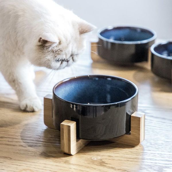 

ceramic pet bowl cat puppy feeding supplies double bowls dog water feeder accessories durable multiple color & feeders
