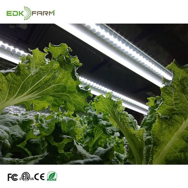 

mushroom farms canada hydro mini power plant bulb t5 grow light lights