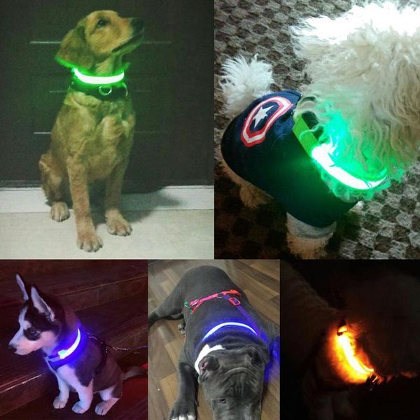 

dog collars & leashes luminous led glowing collar usb charging anti-lost pet products adjustable avoid car accident accessories leads night
