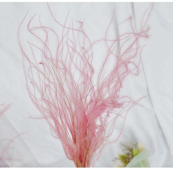 

decorative flowers & wreaths 10g/lot,natural dried brazilian milfoil bouquet,romantic feather shapeable flower bunch for wedding display dec