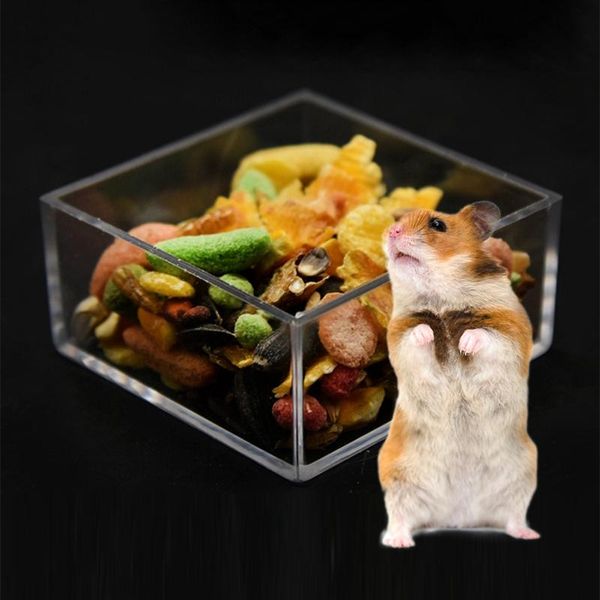 Andere Vogelversorgung Hamster Fütterungsschüssel Acryl transparentes Lebensmittel Hedgehog Dish Clear Container Box Feeder