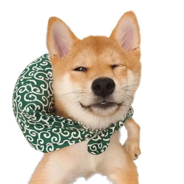 

cat costumes pet funny collar wants to run away garfield cute cotton scarf, burden adorable pillow scarf small bundle bag