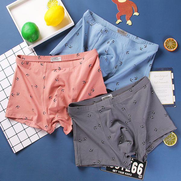 

men's underwear, boxers, cotton trend, little swallow print, youth middle waist, breathable shorts, boys, Black;white