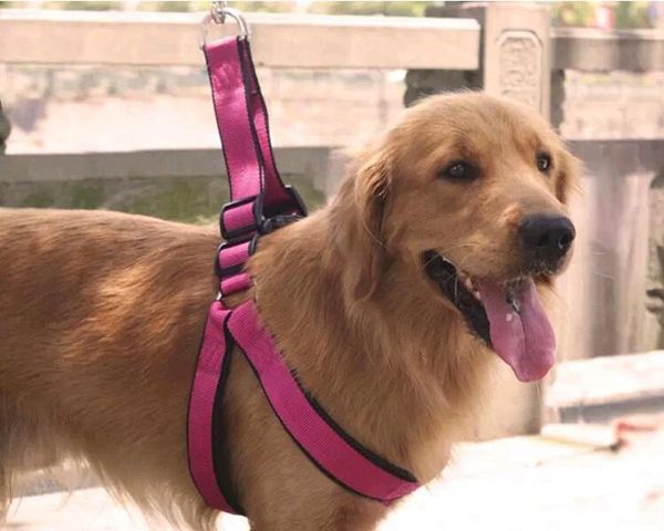 

dog traction rope, chain ,doggie rope belt harness collars & leashes