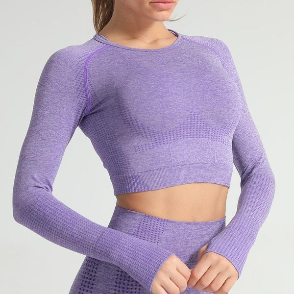 

color vital yoga women sports crop gym seamless shirt womens fitness outfit