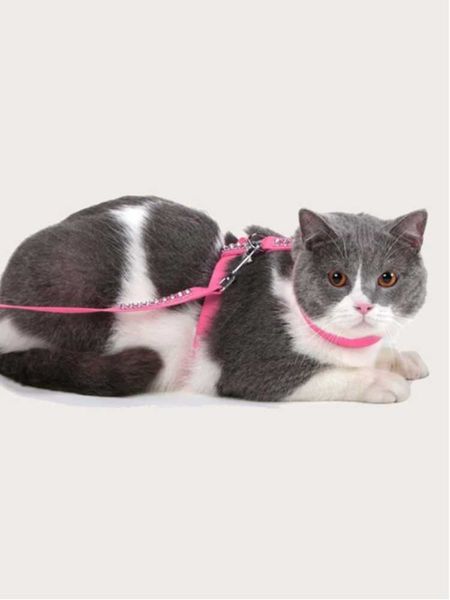 

cat collars & leads breathable harness and leash h adjustable pet traction kitten dog halter collar