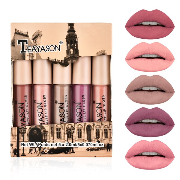 

teayason 5pcs nude matte liquid lipstick set red velvet lip gloss waterproof long lasting makeup lips tint cosmetic beauty dhl