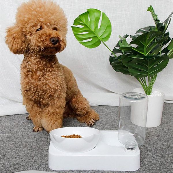 

cat bowls & feeders a dog automatic drinker drinking water pet neck protector refill double bowl