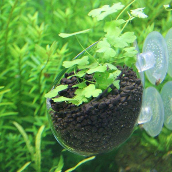 

decorations pet supplies grass breeding basin mini fish tank crystal glass pots polka water potted aquatic planting cylinder cup supply