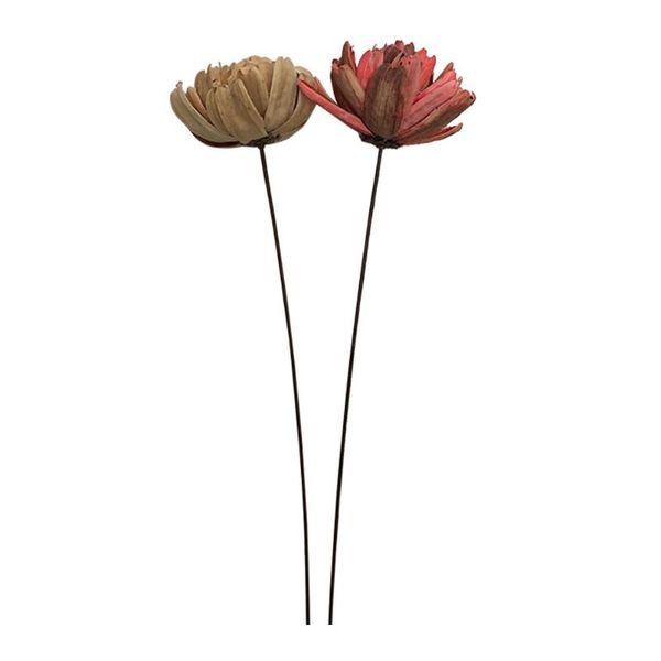 

decorative flowers & wreaths 2pcs mini natural dried flower fresh preserved bouquet