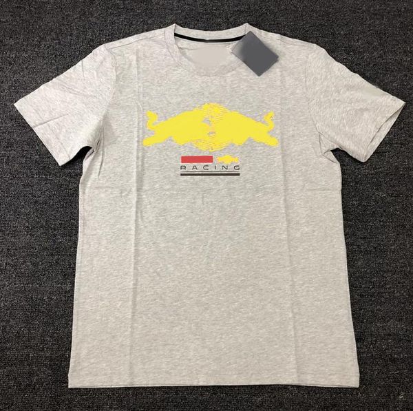

f1 racing car downhill short-sleeved polyester quick-drying t-shirt for men and women can be customized