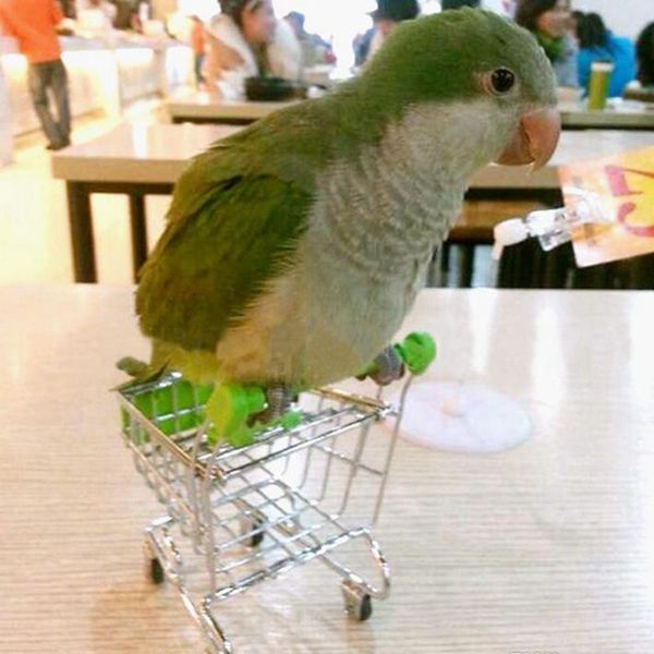 Parrot Hamster Toy Bird Saceates Маленький Супермаркет Корзина Корзина Коммунальная Тележка Притворное Play Toys Коляски Моделирование Творческая птица Попугай Хомяк Мини