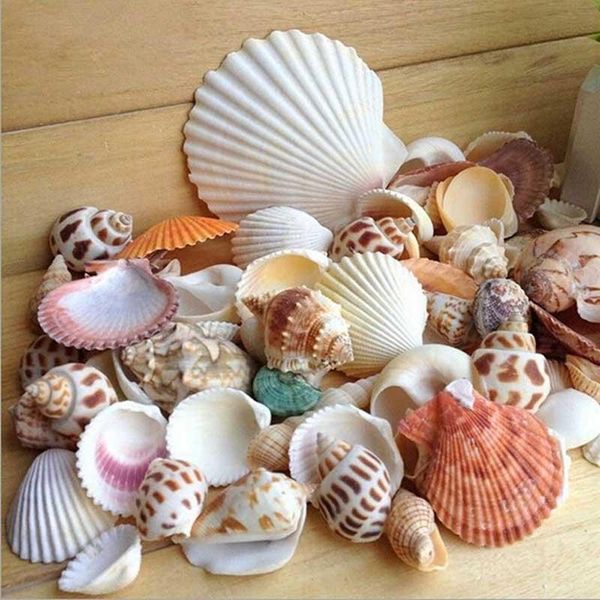 

decorations 100g mixed beach nautical shells aquarium fish tank diy decoration bulk seashell