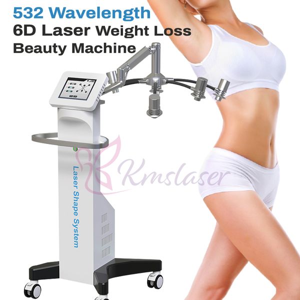 Macchina dimagrante lipolisi 532nm LLLT 200mw Lipolaser Fat Burn 6D Laser Body Shape Beauty Equipment